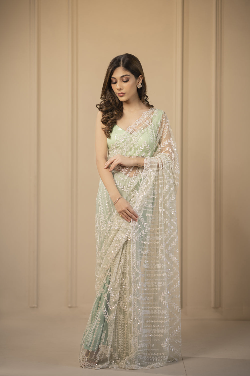 Celestial Multi Hued Embroidered Saree
