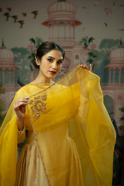 Hand embroidered yellow organza dupatta