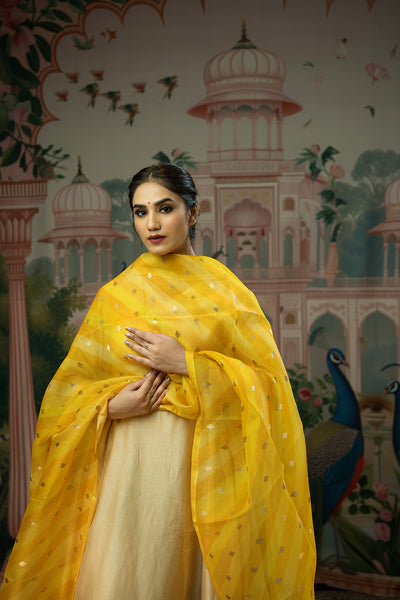 handwoven yellow organza dupatta