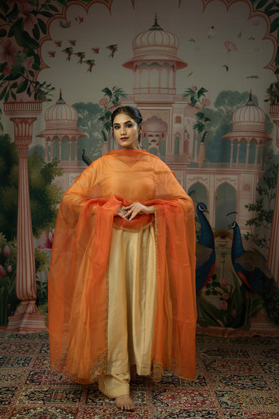 Hand embroidered orange organza dupatta