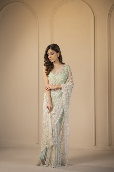 The 'cosmic' hand embroidered saree