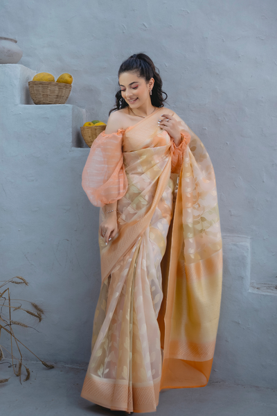 Handwoven 'arancia' organza saree